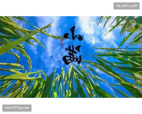 在小满时节感知生命的律动与自然的和谐共鸣 在小满时节感知生命的律动与自然的和谐共鸣