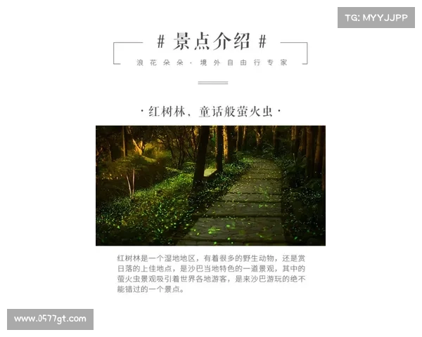 永歌森林探险之旅:与你共赴一场自然奇境的心灵之约 永歌森林探险之旅:与你共赴一场自然奇境的心灵之约